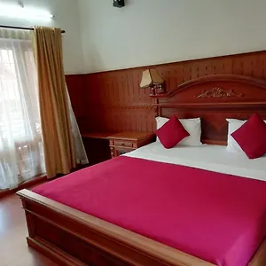 *** Hotel Nikhil Ayurvedic Heritage India